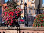 Vente Appartement 5 pièces 96 m2 Saverne