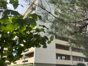 Vente Appartement 6 pièces 139 m2 Pessac