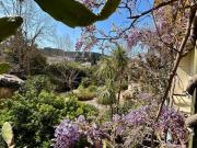 Vente Appartement 8 pièces 187 m2 Sète
