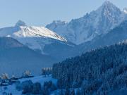 Vente Appartement 8 pièces 208 m2 Megeve