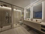 Vente Appartement d'exception 350m2 3chambres Ain...