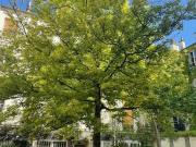 vente appartement Paris quartier Marais Archives