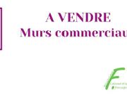Vente Fond de commerce 131 m2 Grenoble