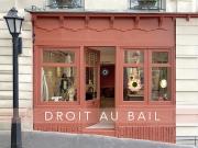 Vente Autre 40 m2 Annecy