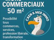 Vente Autre 50 m2 Fontenay le Marmion