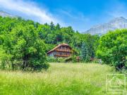 Vente Chalet 11 pièces 350 m2 Passy