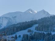 Vente Chalet 11 pièces 435 m2 Megeve
