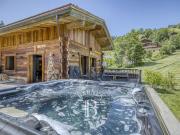 Vente Chalet 13 pièces 311.97 m2 La Clusaz