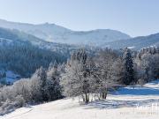 Vente Chalet 13 pièces 392 m2 Megeve