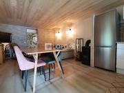 Vente Chalet 2 pièces 31.38 m2 Ugine