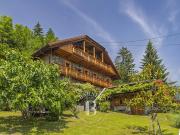 Vente Chalet 350 m2 Passy