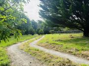 Vente Chalet 3 pièces 40 m2 Chailly en Gâtinais