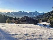 Vente Chalet 3 pièces 85 m2 Le Biot
