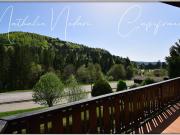 Vente Chalet 5 pièces 90 m2 La Bresse
