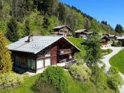 Vente Chalet 6 pièces 259 m2 Les Gets