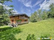 Vente Chalet 7 pièces 197 m2 Chamonix Mont Blanc
