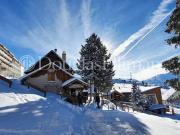 Vente Chalet 7 pièces 255 m2 Huez