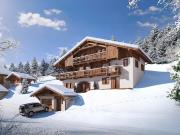 Vente Chalet 7 pièces 411 m2 Saint Gervais les Bains