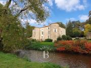 Vente Château 15 pièces 1000 m2 Parthenay