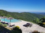 Vente Château 15 pièces 900 m2 Saint Laurent du Pape