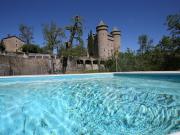Vente Château 20 pièces 500 m2 Rivière sur Tarn