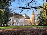 Vente Château 26 pièces 903.62 m2 Fleurville