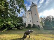 Vente Château 35 pièces 1800 m2 Chateauroux