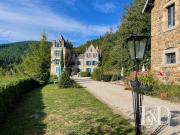 Vente Château 36 pièces 1000 m2 Lamastre