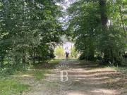 Vente Château 785 m2 Cellettes