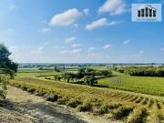 Vente Maison 9 pièces 337.56 m2 Asques