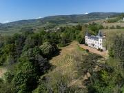 Vente Château Emeringes