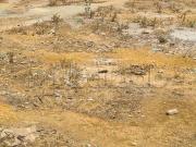 Vente de terrain à Had Soualem. Surface totale 135 m²