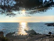 Vente discrète Cap d'Antibes 412m² Antibes