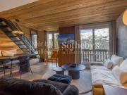 Vente Duplex 4 pièces 68 m2 Méribel les Allues