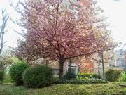 Vente Duplex 6 pièces 124 m2 Sucy en Brie
