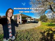 Vente Ferme 12 pièces 293 m2 L'Honor de Cos