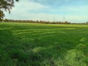 Vente Ferme 170000 m2 Vallons de l'Erdre