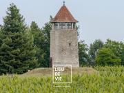 Vente Ferme 3 pièces 39 m2 Villegouge