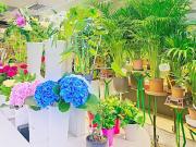 Vente Fond de commerce 100 m2 Paris 19ème