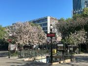 Vente Fond de commerce 102.33 m2 Paris 5ème