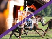 Vente Fond de commerce 260 m2 Quimper