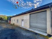 Vente Fond de commerce 270 m2 Ger