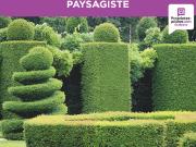 Vente Fond de commerce 300 m2 Caen