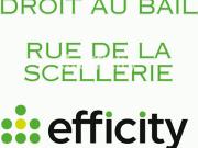 Vente Fond de commerce 31 m2 Tours