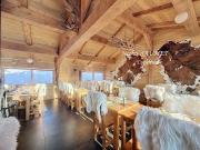 Vente Fond de commerce 332 m2 Le Grand Bornand