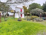 Vente Fond de commerce 380 m2 Marseillette