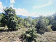 Vente Forêt Château Arnoux Saint Auban