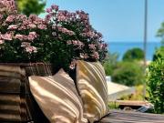 Vente Hôtel 28 pièces 1000 m2 Bastia