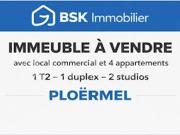 Vente Immeuble 10 pièces 247 m2 Ploermel