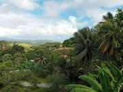 Vente Immeuble 12 pièces 350 m2 Le robert